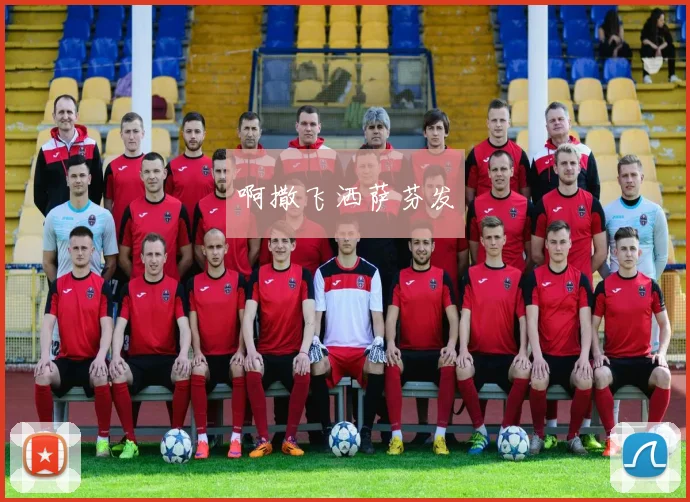 葡萄牙队欧预赛关键战C罗破门助球队锁定胜局