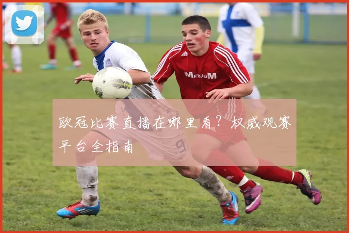 欧冠比赛直播在哪里看？权威观赛平台全指南