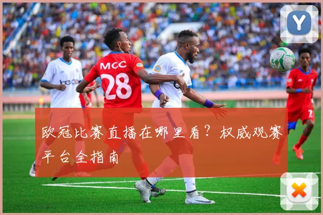欧冠比赛直播在哪里看？权威观赛平台全指南