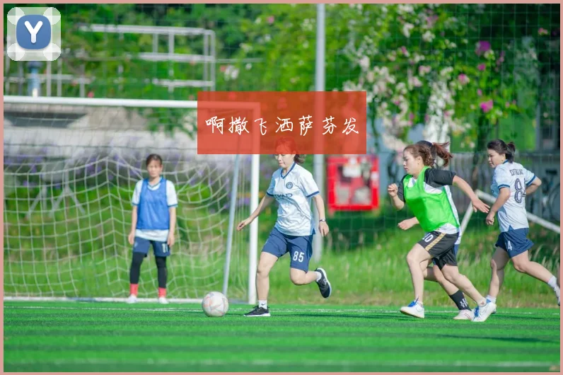 葡萄牙队欧预赛关键战C罗破门助球队锁定胜局